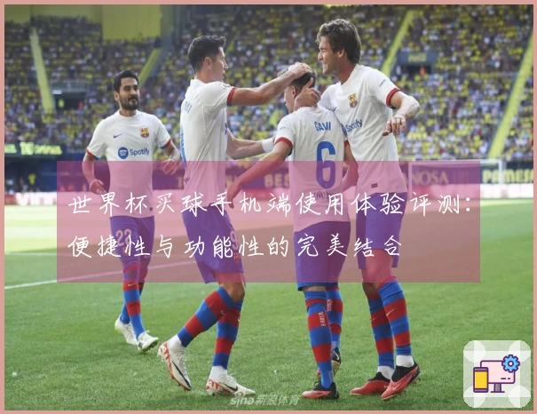 世界杯买球手机端使用体验评测：便捷性与功能性的完美结合