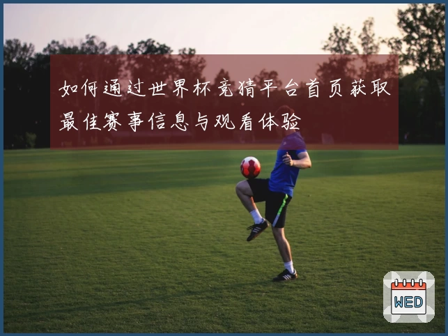如何通过世界杯竞猜平台首页获取最佳赛事信息与观看体验