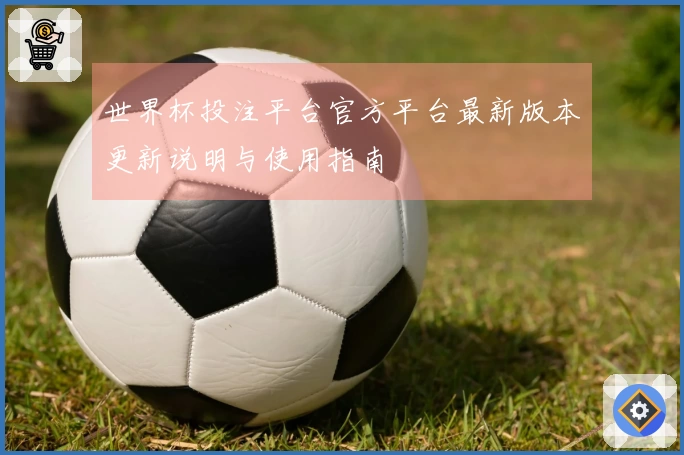 世界杯投注平台官方平台最新版本更新说明与使用指南